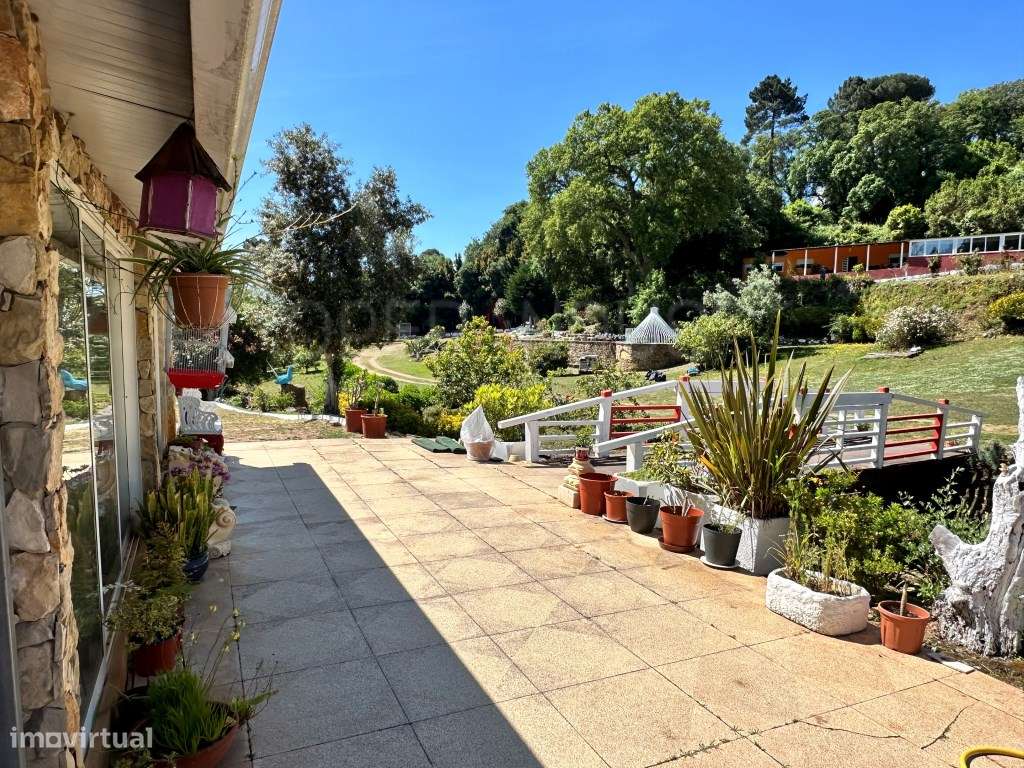 Quinta - Quintinha - Moradia-17