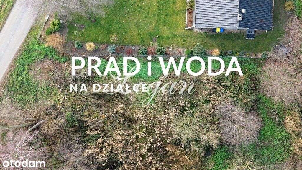 Działka w Zielonej Okolicy - Jasiniec - Bogdaniec. - Pełny obrazek: 5/6