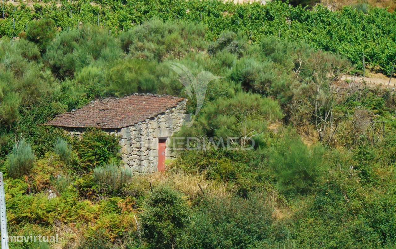 Terreno com 2 Ha junto à E322 em Alijó / Vila Real - Grande imagem: 2/25