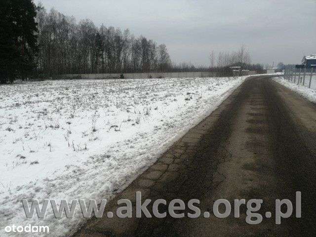 Do Sprzedaży Działka Budowlano - Leśna 9Ooom2 - Pełny obrazek: 4/5