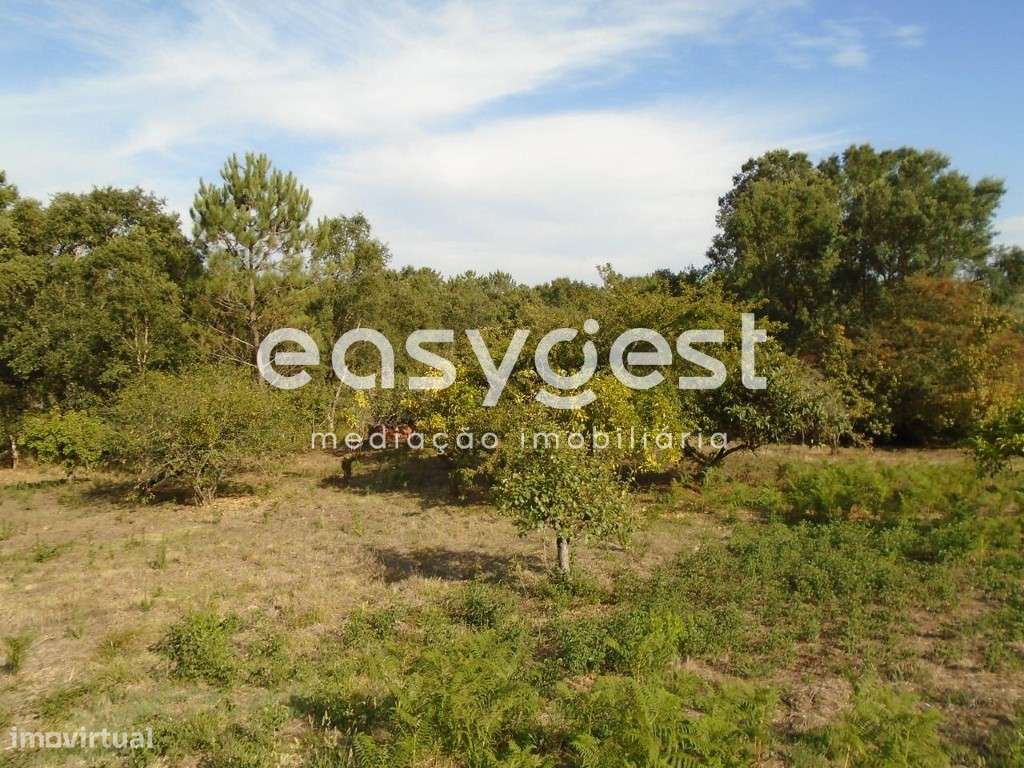 Terreno com 1280m2 para construção na Ferraria de Pataias - Grande imagem: 5/18