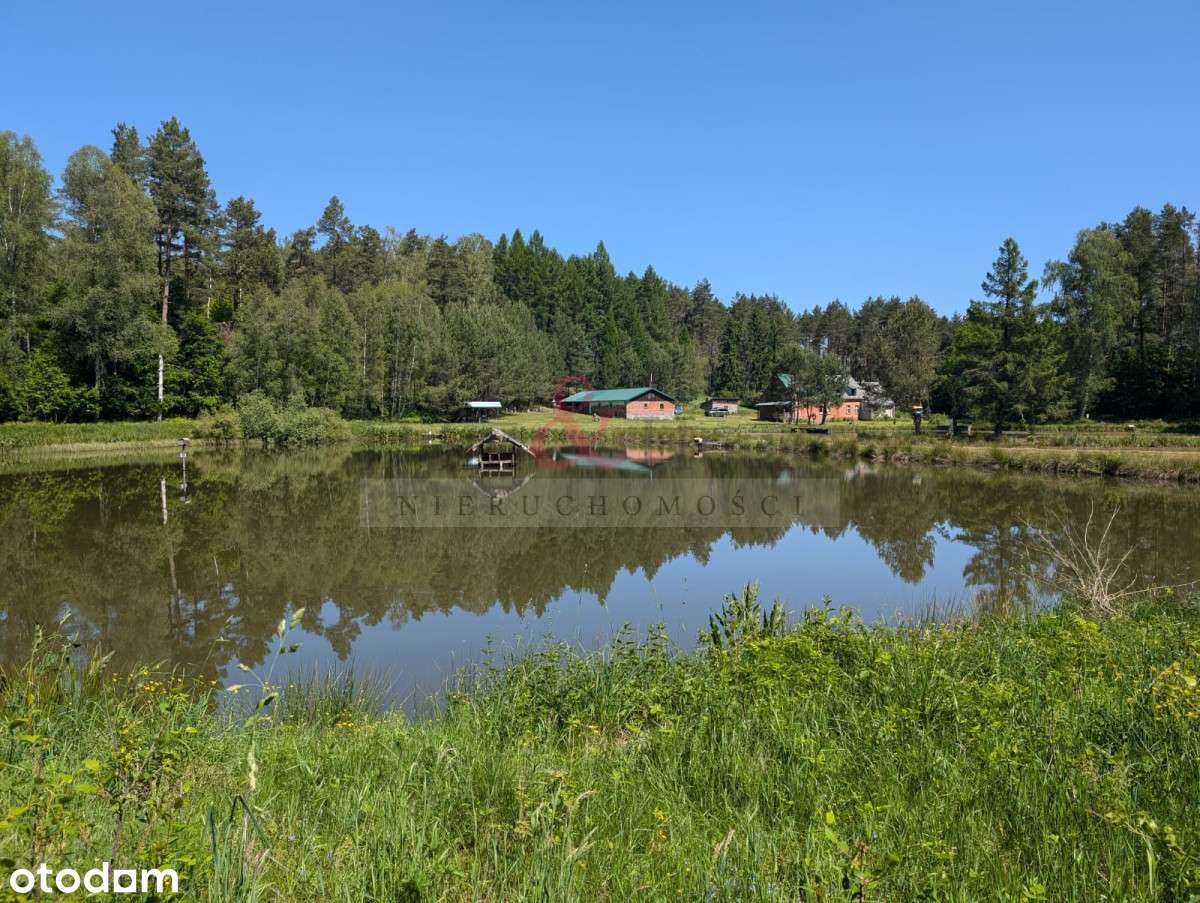 Raj dla duszy -  slow life Bory Tucholskie - Pełny obrazek: 2/20