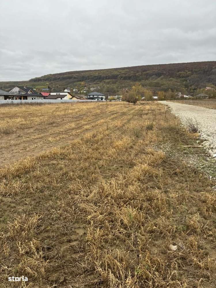 Teren Intravilan ideal constructie cartier vile Hemeius langa scoala - Imagine principală: 3/11