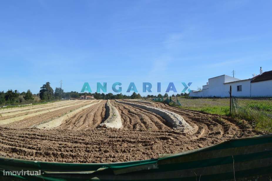 ANG157 - Terreno para Venda em Aveiras de Cima - Grande imagem: 4/13