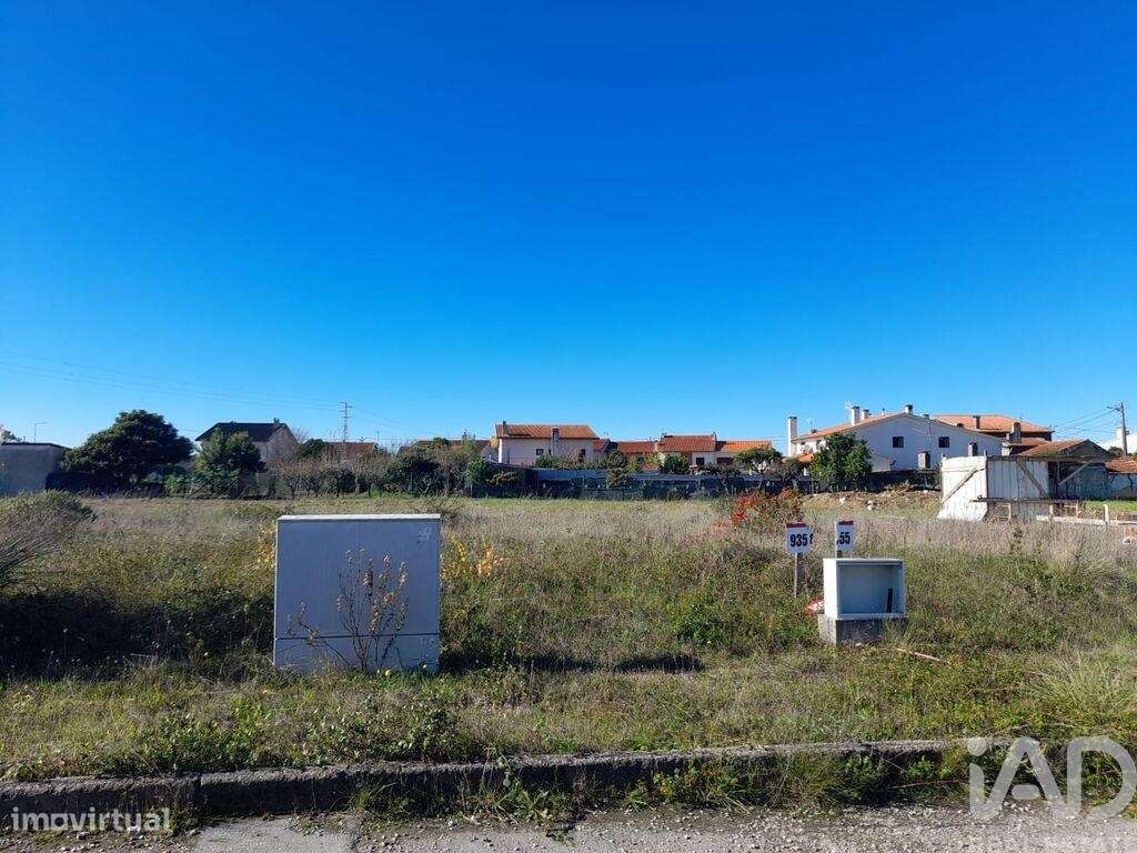 Terreno para construção em Cantanhede e Pocariça - Grande imagem: 4/4