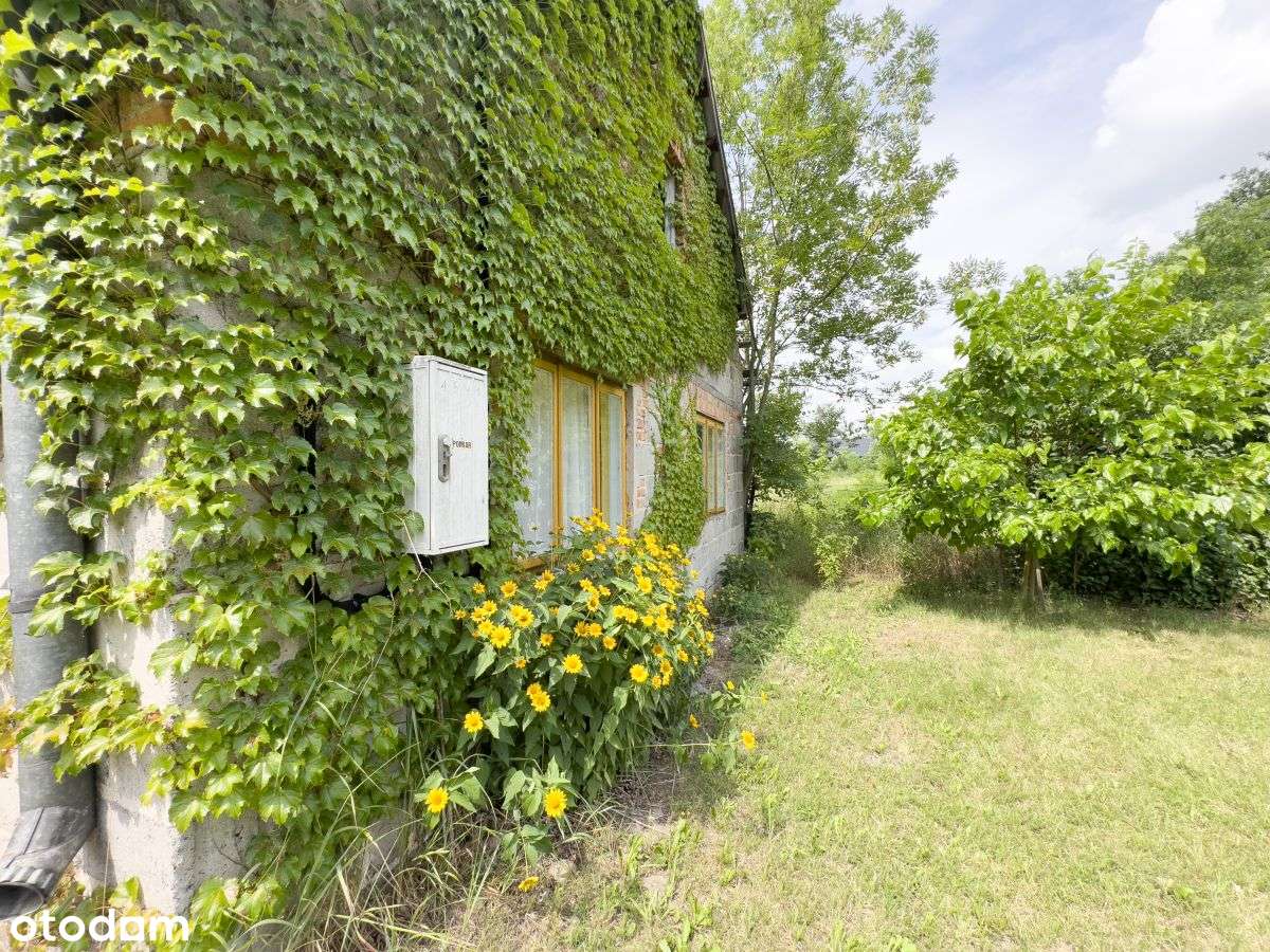 Siedlisko z domem i 2 200 m² działki nad Wisłą-19