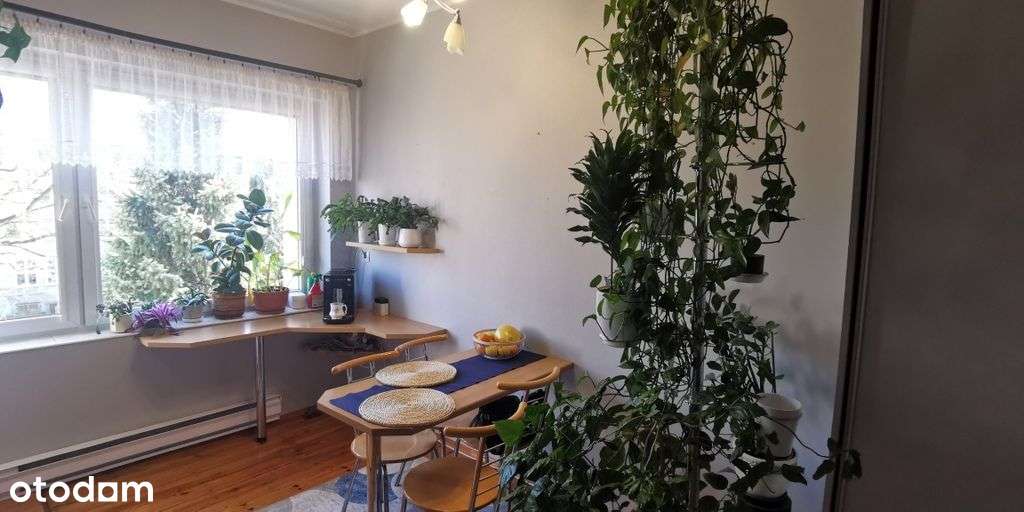 Mieszkanie, 46 m², Szczecin-3