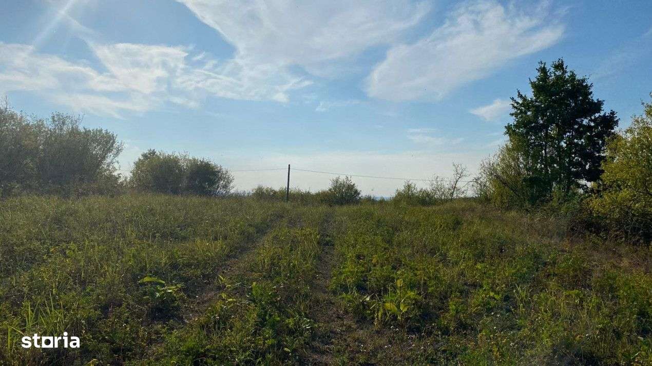 Teren intravilan, Saldabagiul de Munte - Imagine principală: 5/8