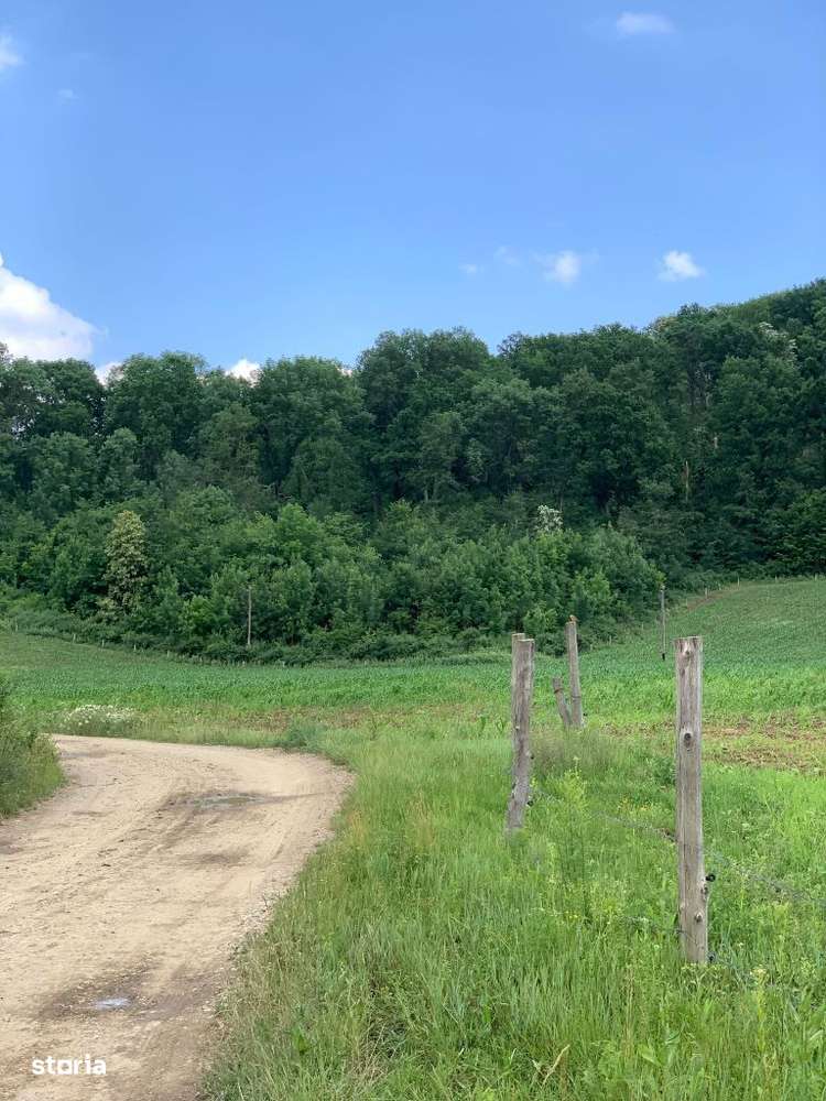 Teren de Vanzare - Imagine principală: 2/3