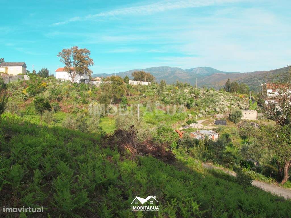 Terreno rústico de 8000 m2 com viabilidade de construção a cerca de...-14