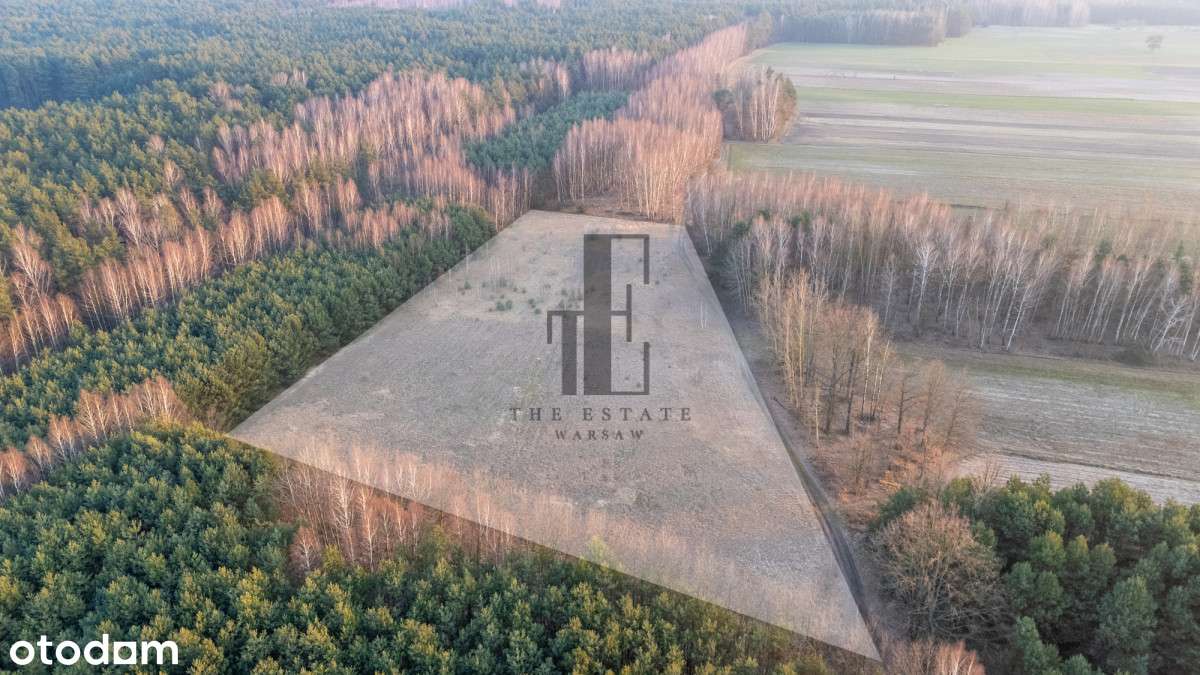 Działka na sprzedaż | Na skraju lasu | Możliwe WZ - Pełny obrazek: 5/7