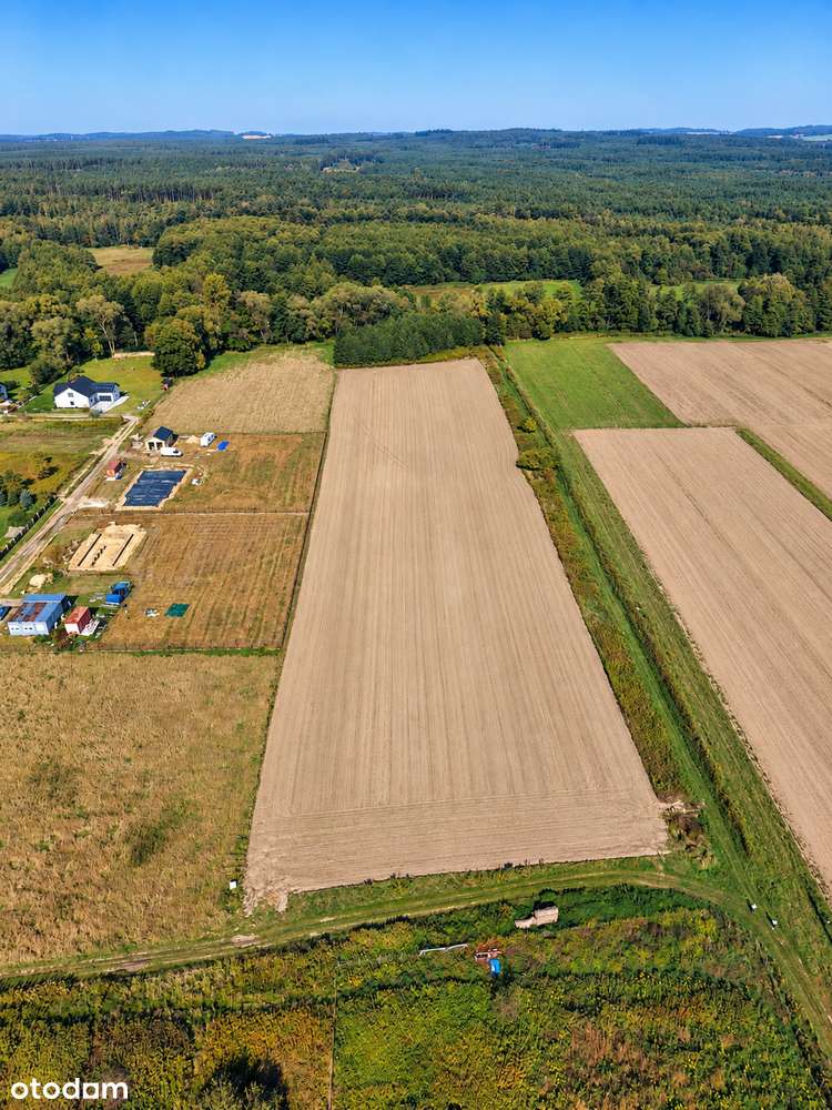 OZOROWICE | 3500 m² | DZIAŁKA BUDOWLANA | PRĄD NA DZIAŁCE | MPZP-2