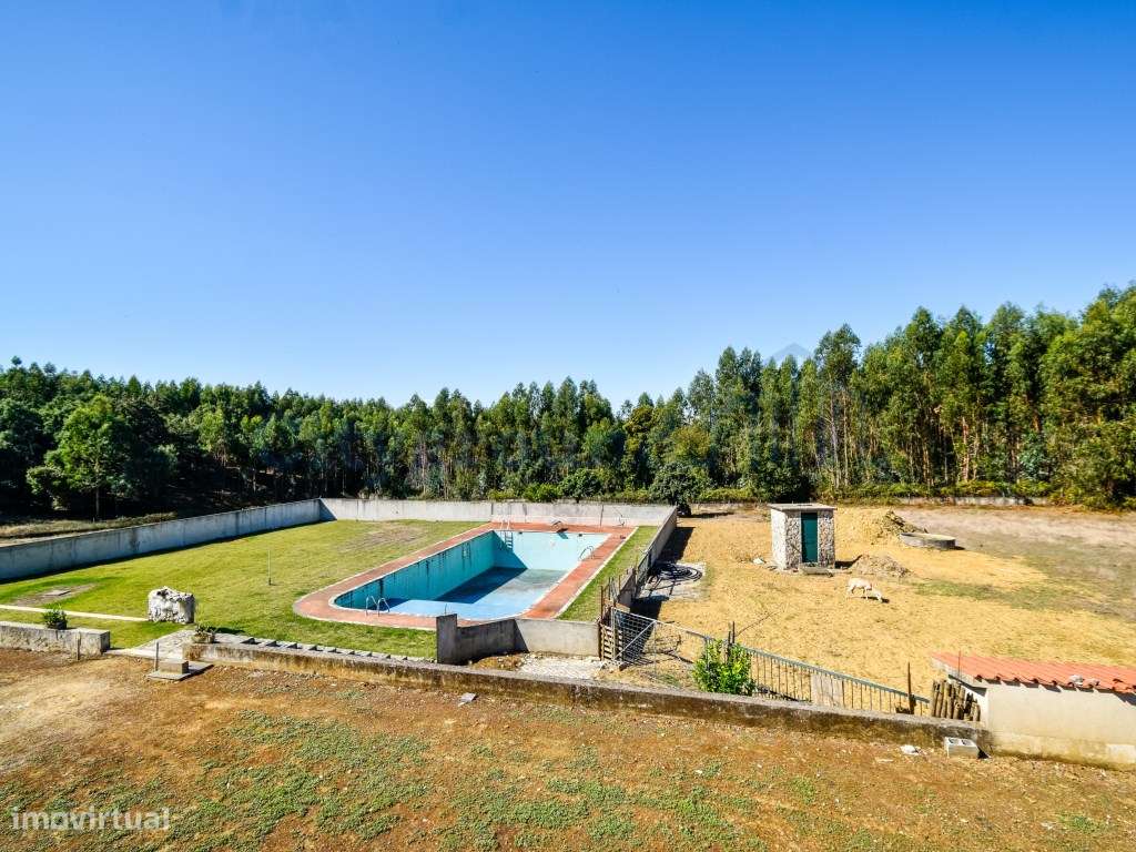 Quinta com 3,14 Hectares e Piscina | Ferreira do Zêzere-50