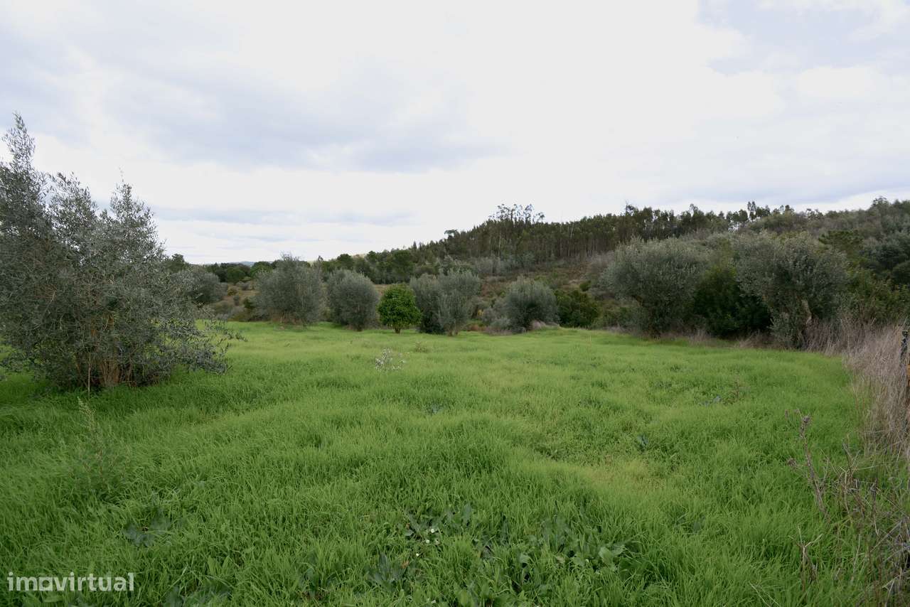 Terreno  Venda em Asseiceira,Tomar-1
