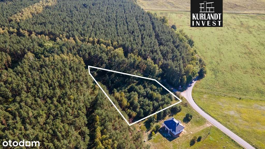 Działka budowlana 3.075 m² MPZP ściana lasu - Pełny obrazek: 4/6