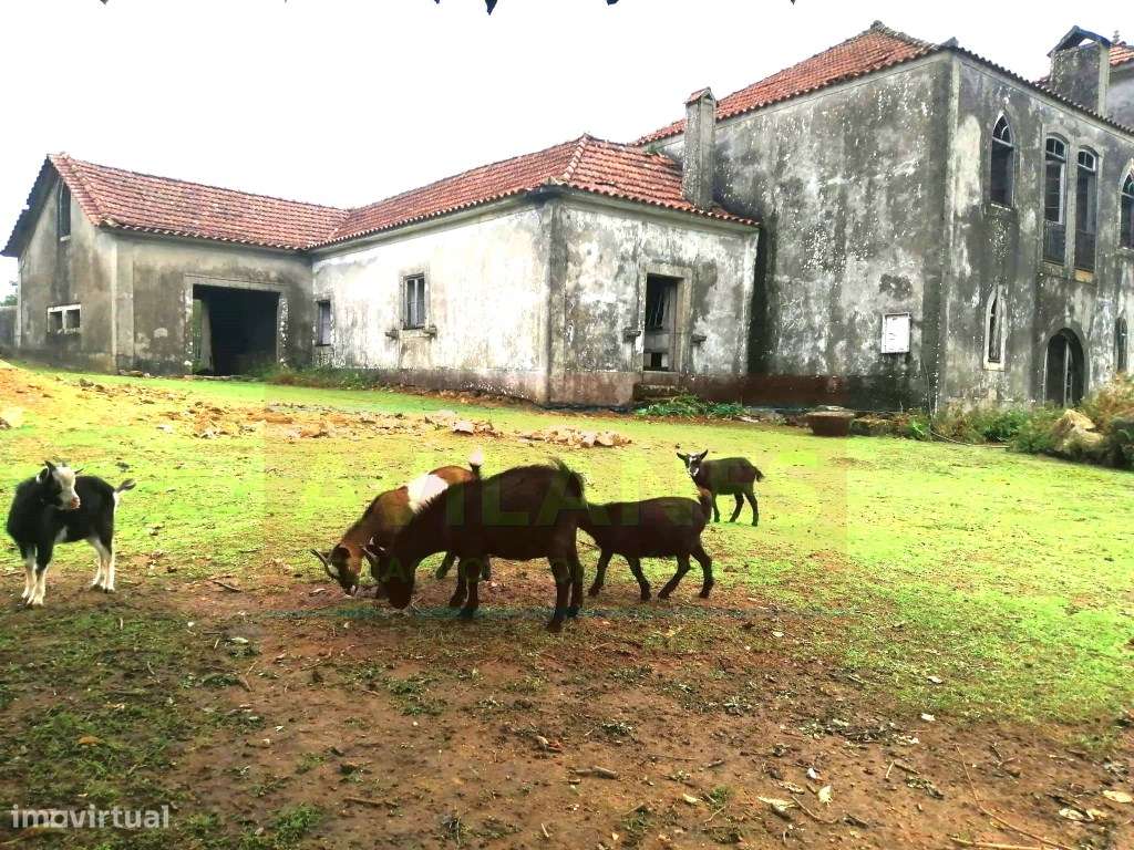 QUINTA - GIÃO-15