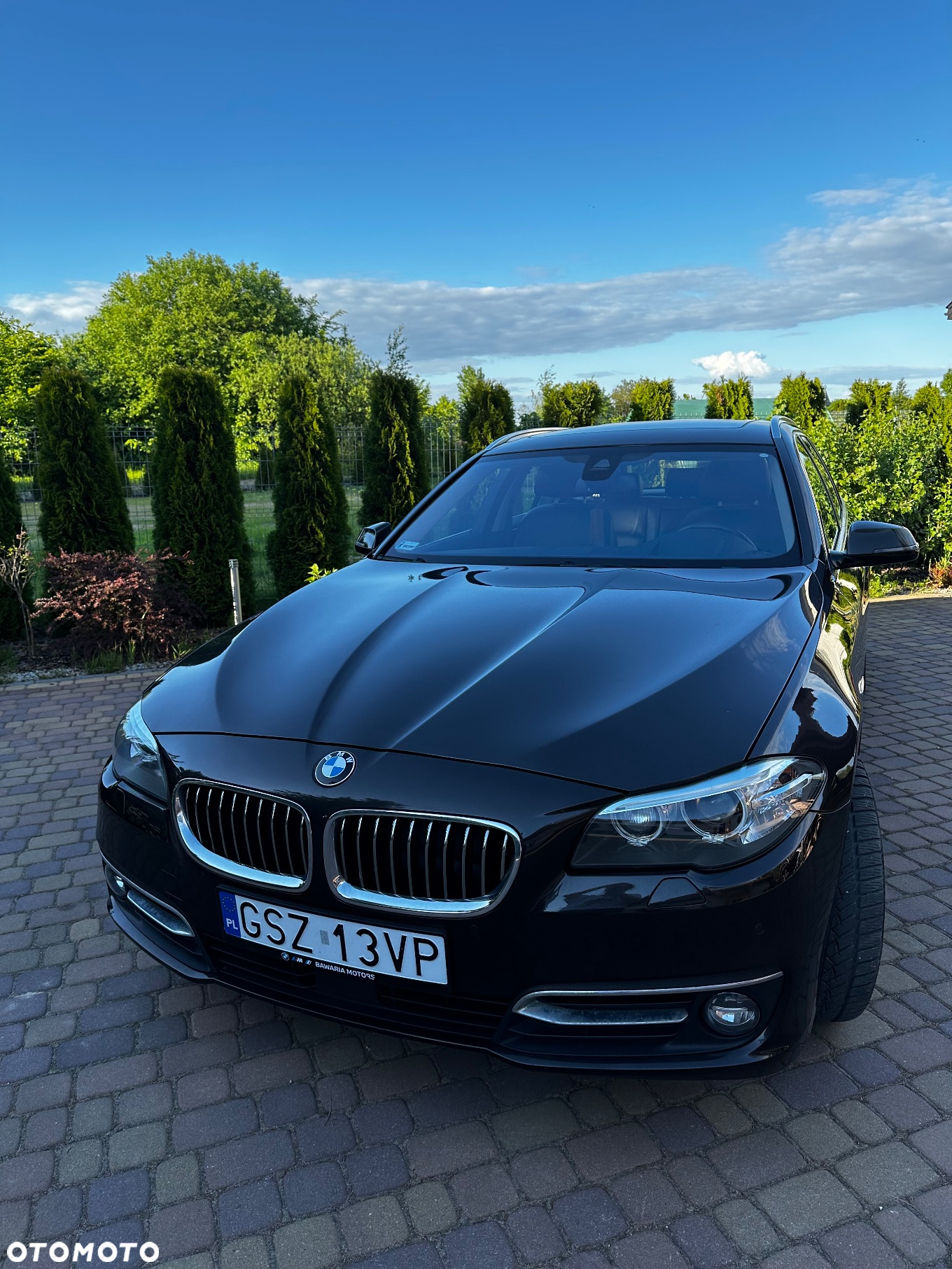 BMW Seria 5 530d xDrive Luxury Line - 2