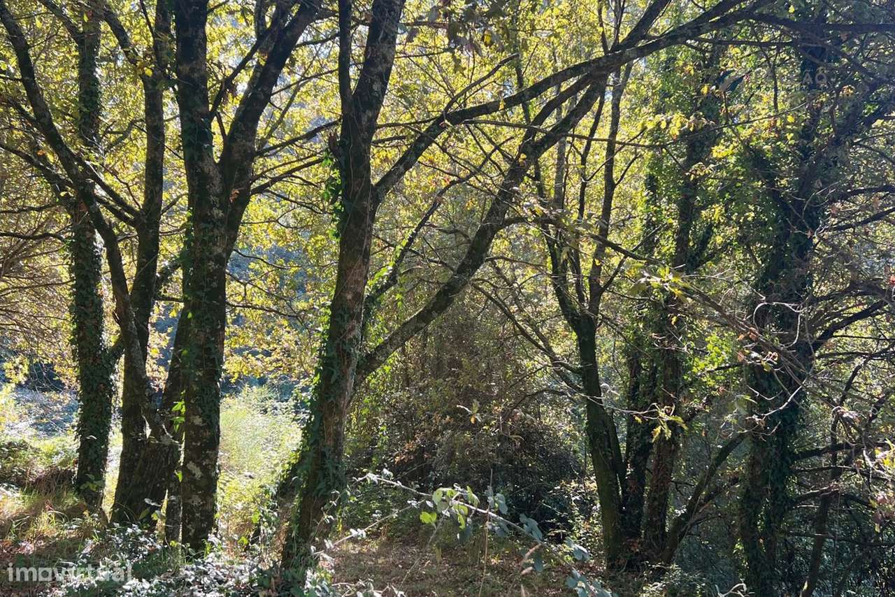 Terreno Agrícola 10.400 m² – Rebordosa, Paredes-5