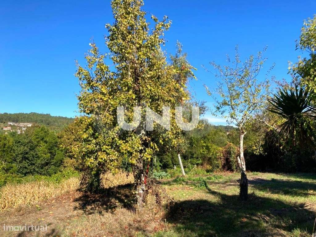 Quinta - Rodeada de Natureza-51