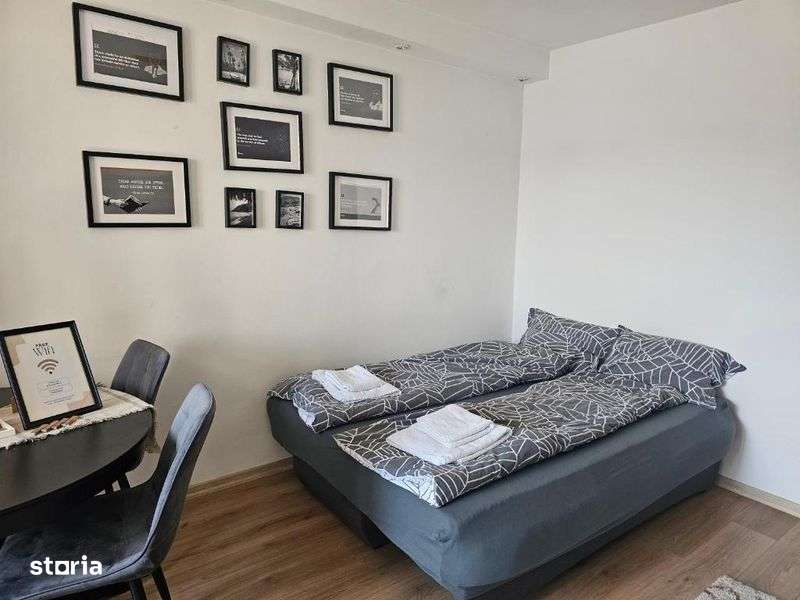 Garsoniera ultracentrala - zona Grand / UMFST / Mures Mall - Imagine principală: 5/8