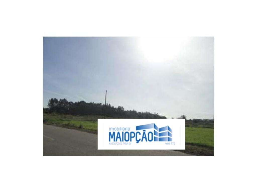 Terreno Rústico - Grande imagem: 2/3