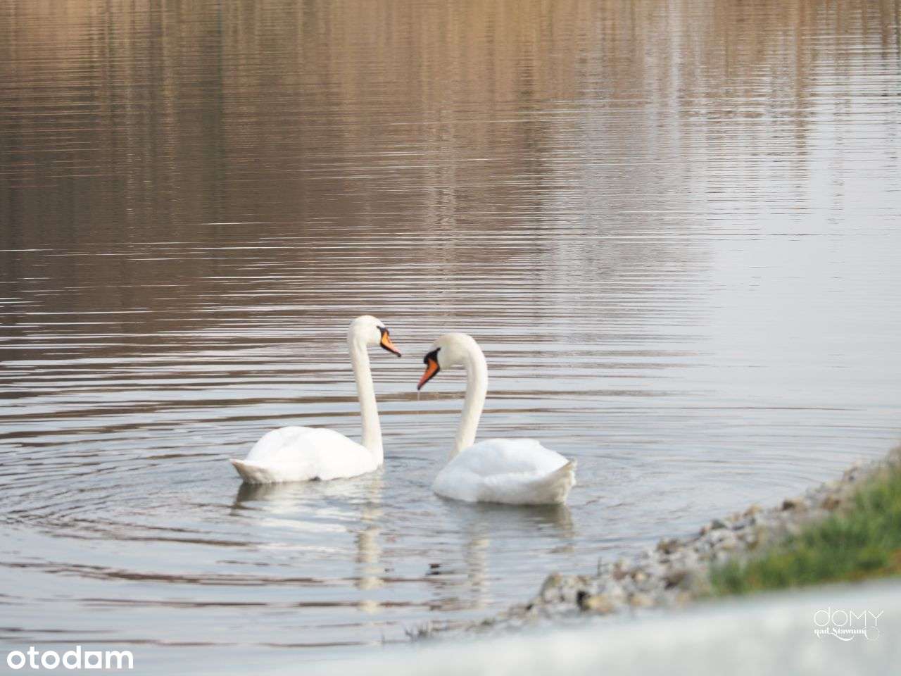 Działka budowlana w wyjątkowym otoczeniu 10 minut od Gliwic - 1317/339-14