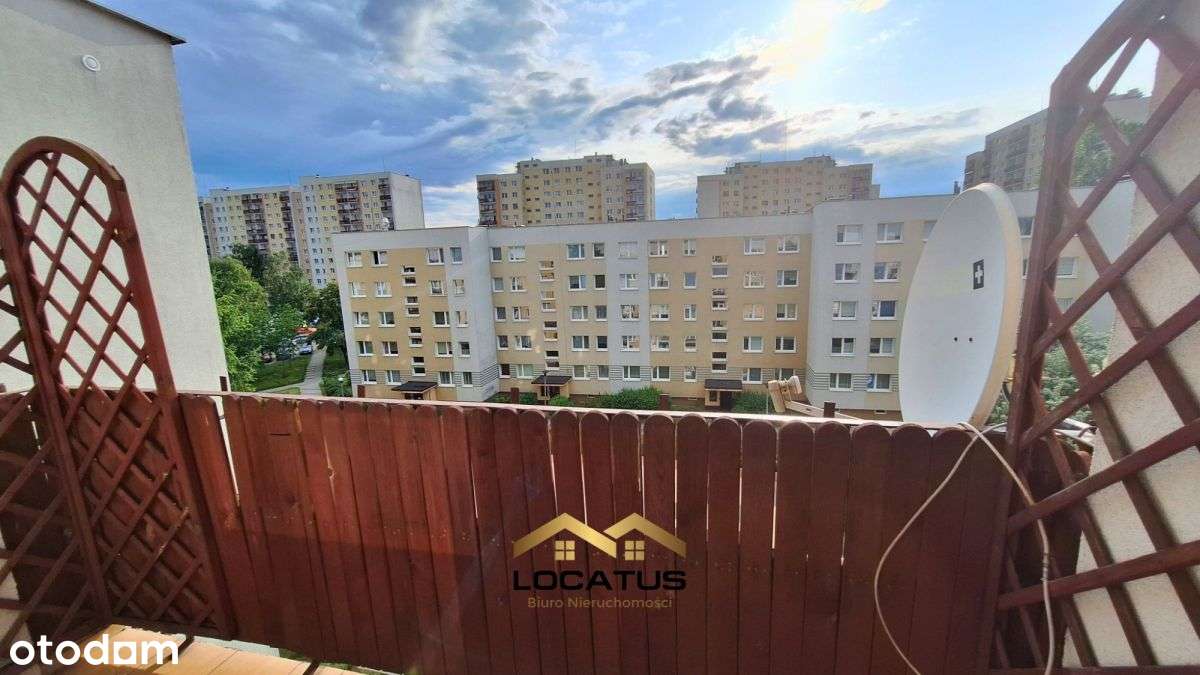 2 pokoje/zielone osiedle/do wprowadzenia - Pełny obrazek: 3/13