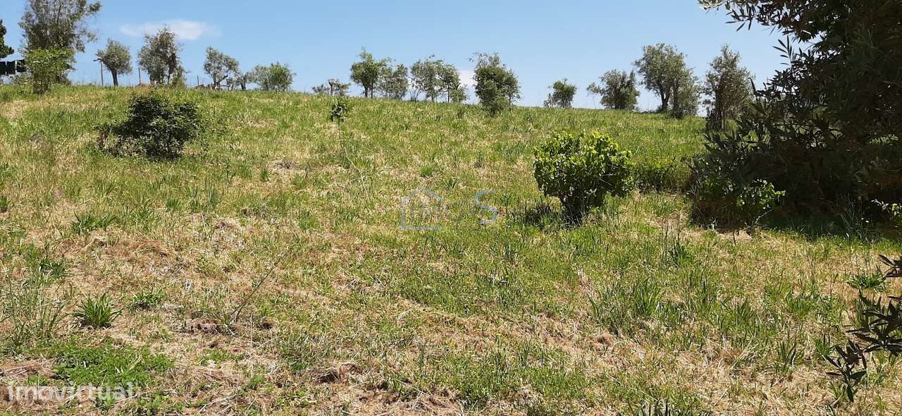 Terreno com Projeto Aprovado para Moradia em Besteiras – Águas Belas-11