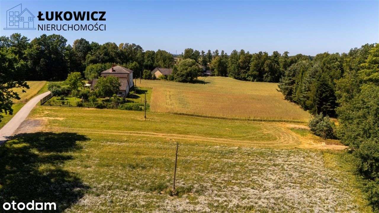 Działka 3057 m² w sąsiedztwie lasu! Dankowice-18