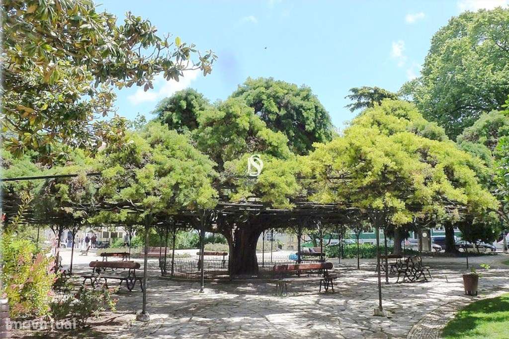 Apartamento T0 Venda em Misericórdia,Lisboa-8