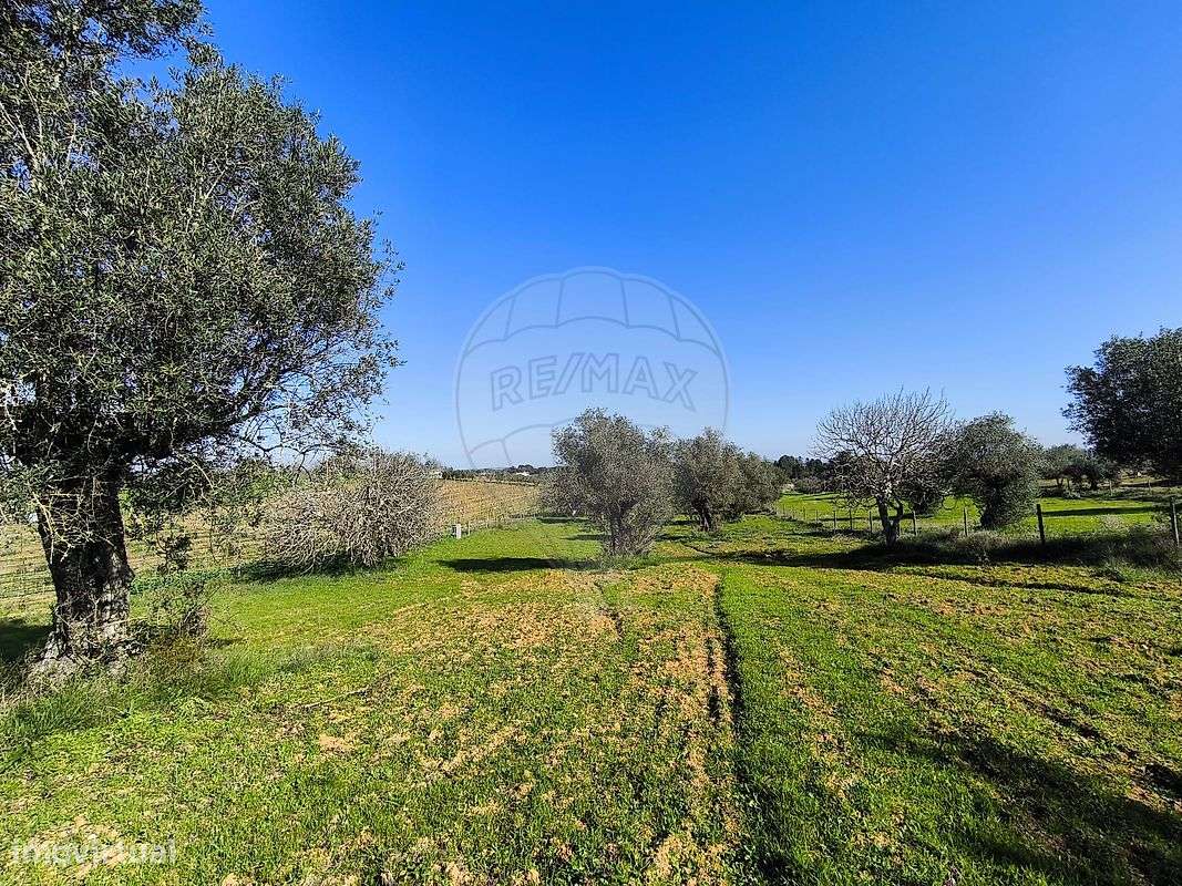 Terreno  para venda - Grande imagem: 2/9