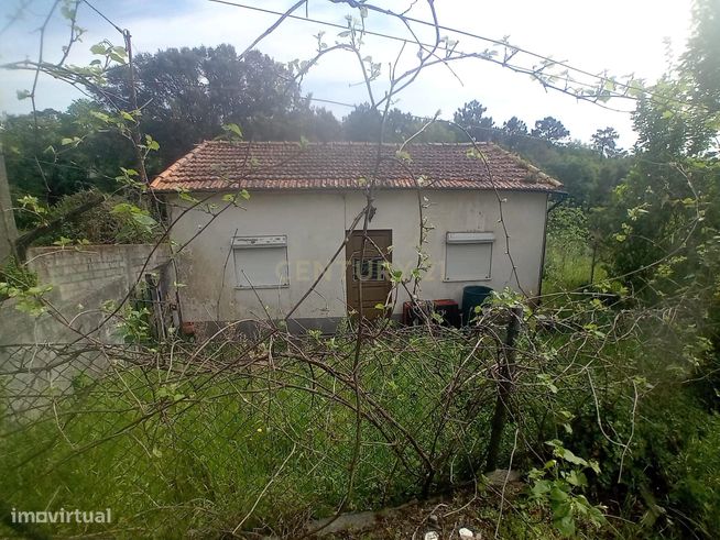 Propriedade junto ao Freixo-7