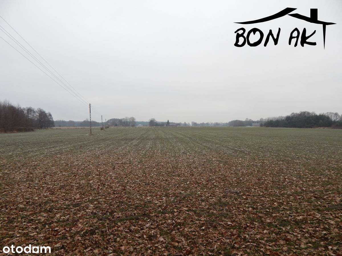 Działka rolna-4