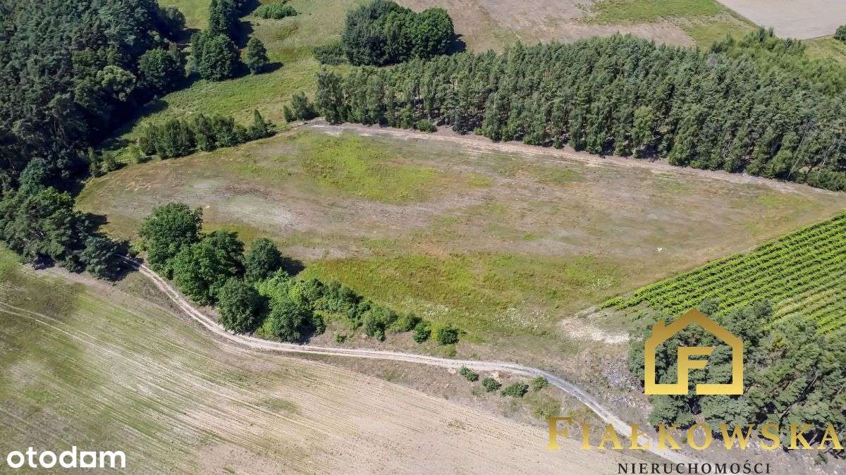 Działka rolna z istniejącą winnicą - Łaz-8