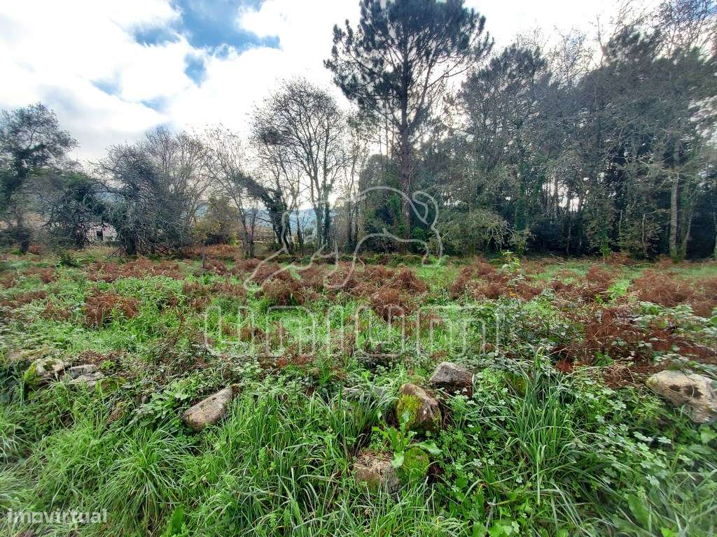 TERRENO - Afife, Viana do Castelo - Grande imagem: 3/6