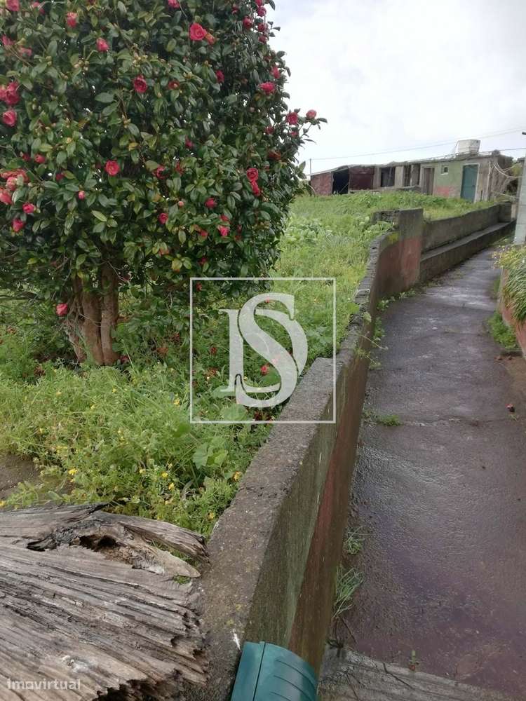 Moradia tradicional T3 para renovar na Maloeira - Fajã da Ovelha, vist - Grande imagem: 4/17