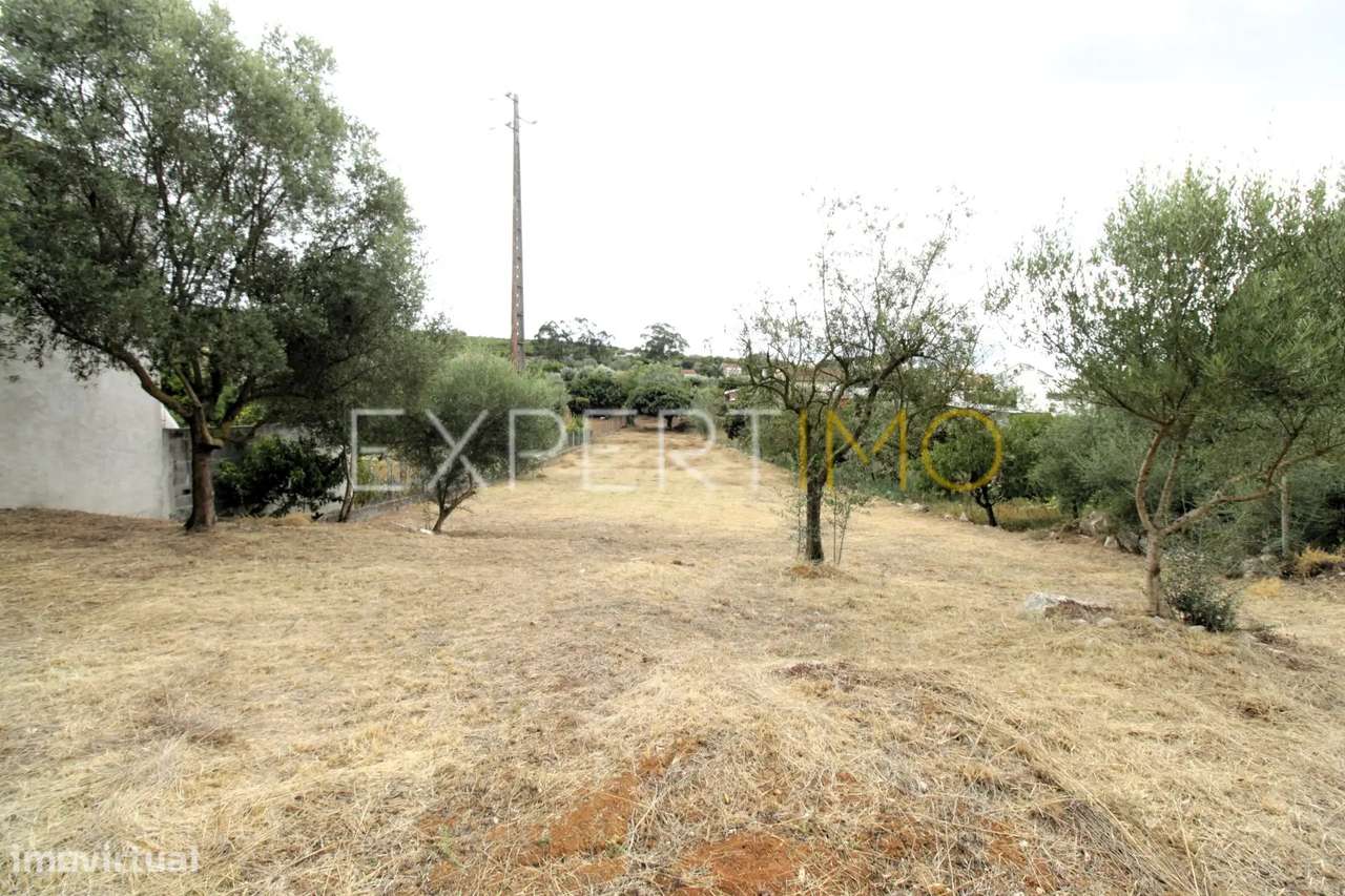 Terreno || 1381m2 || Viabilidade de Construção - Grande imagem: 5/10