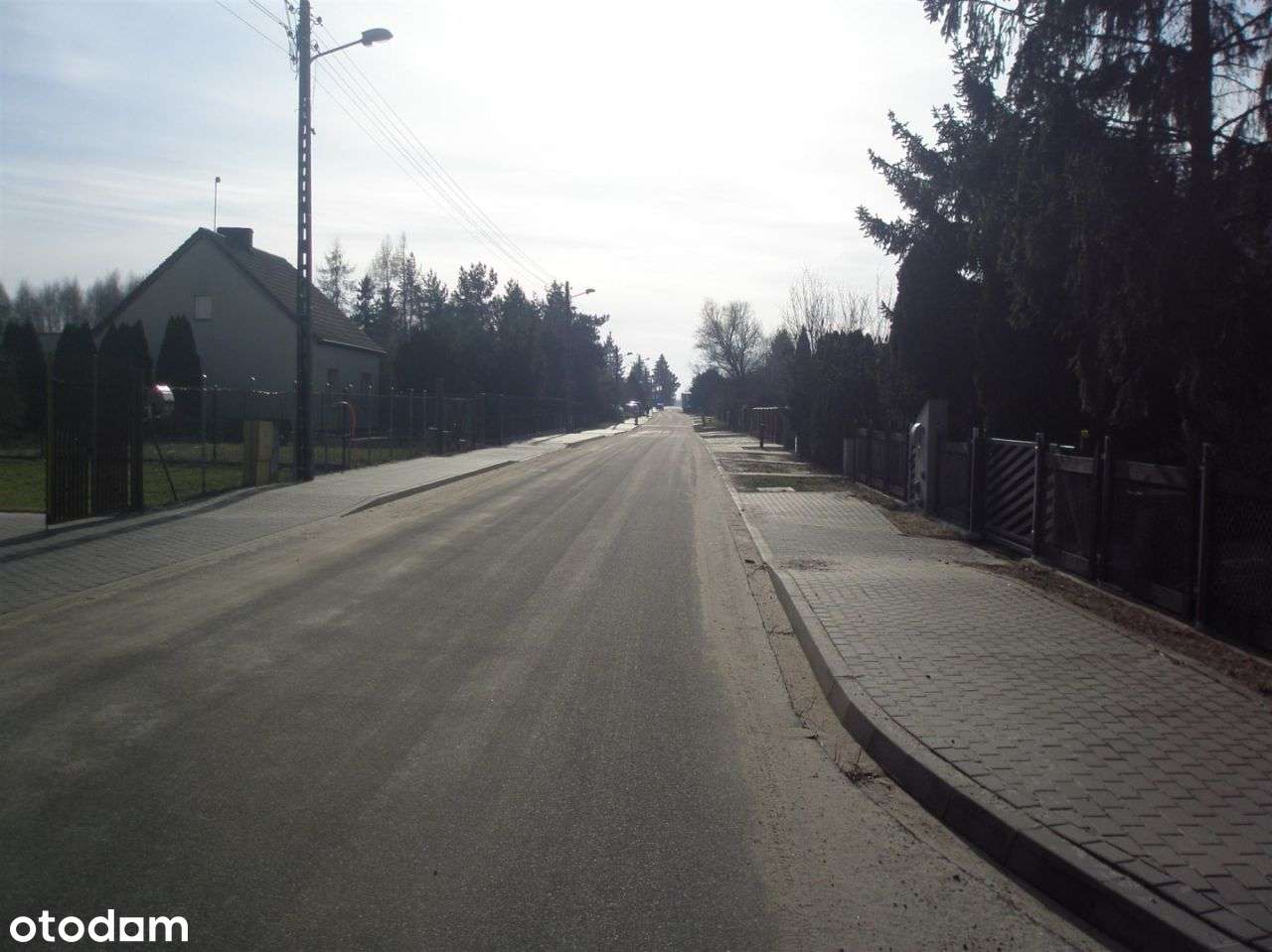 Działka Golęczewo - Pełny obrazek: 4/5