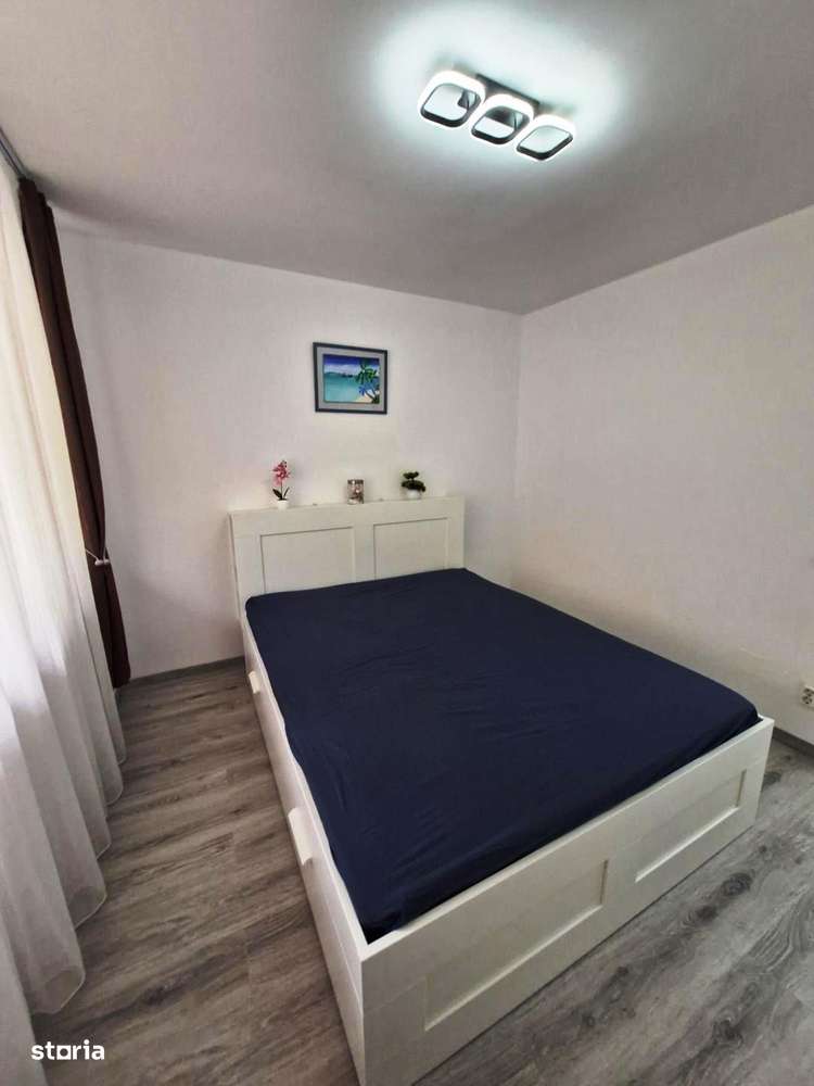 Baba Novac -Gheorghe Petrascu - Imagine principală: 5/17