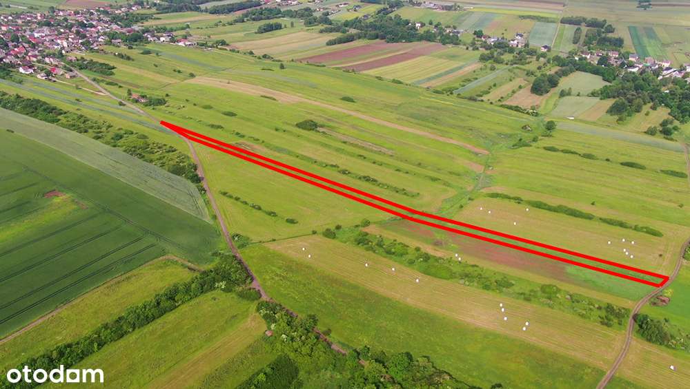 Działka rolna Poręba-Niwki-3
