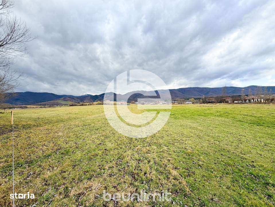 Teren intravilan in Tocile - 4354 m² - 2 fronturi - 49 euro/mp-10