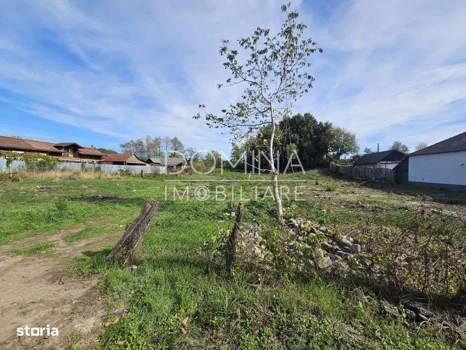 Vanzare teren intravilan suprafata 5.822 mp, in cartier Iezureni - Imagine principală: 2/9