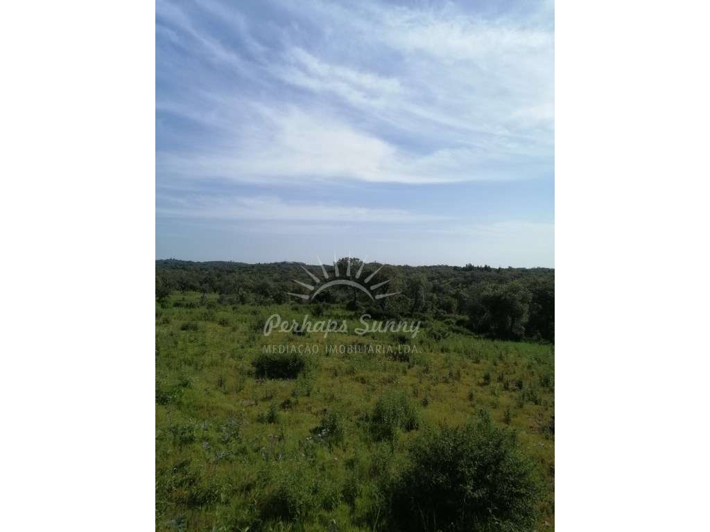 Terreno Rústico - Grande imagem: 2/16