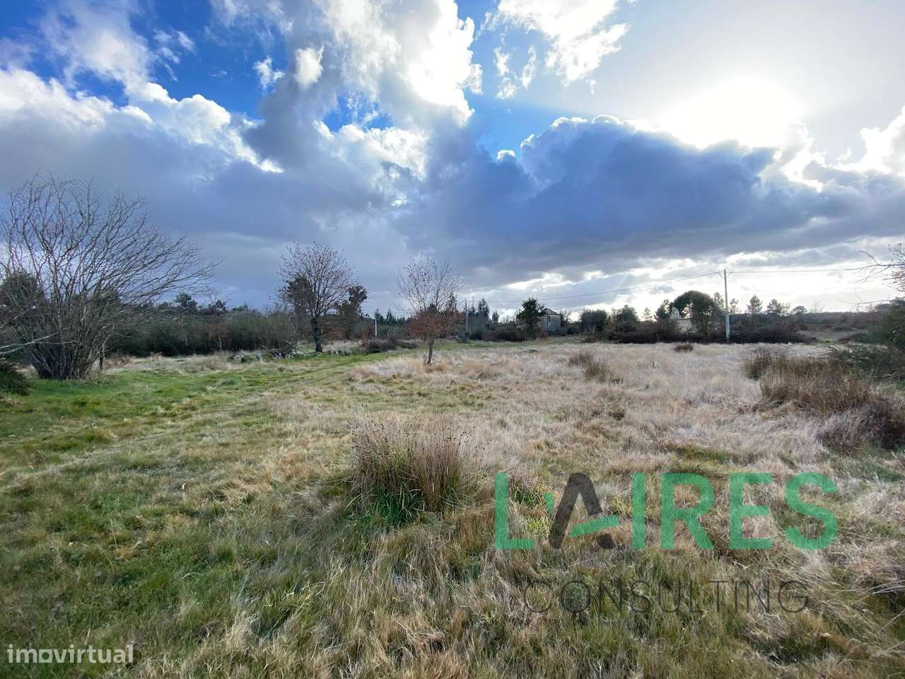 Vende-se em Pinhanços, Seia - Grande imagem: 4/10