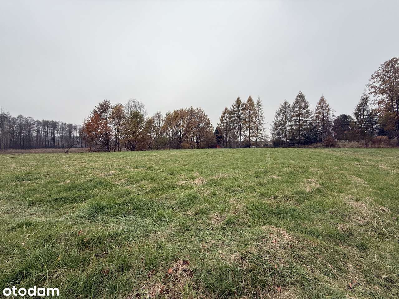 Działka budowlana 5012m2 - MPZP, spokojna okolica, udziały w drodze-2