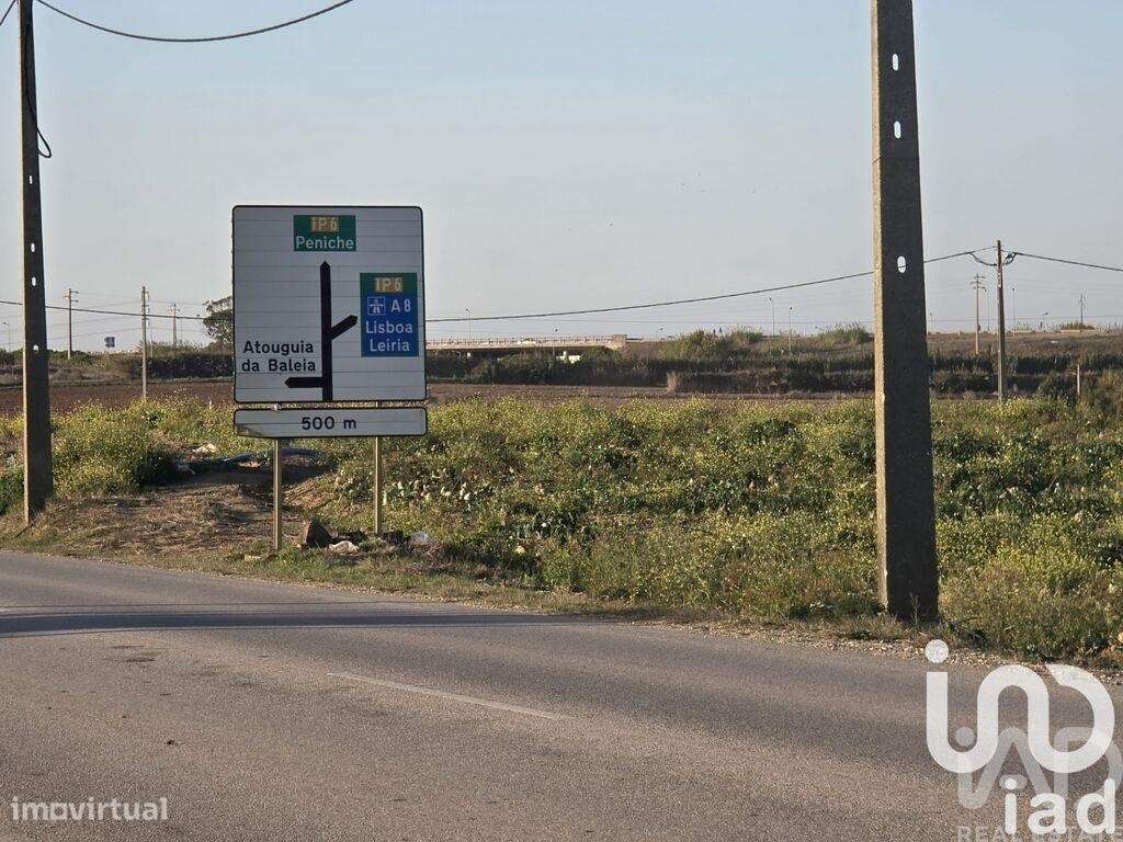 Terreno Agrícola em Atouguia da Baleia - Grande imagem: 5/8