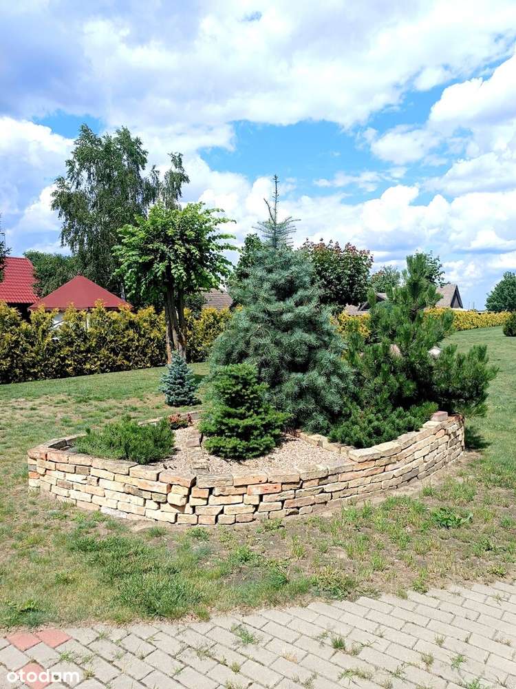 Przepiękna działka inwestycyjna w Siemianówce-7