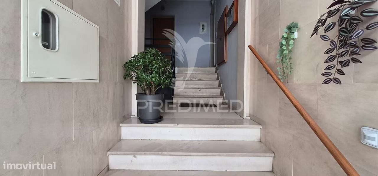 T2 FEIJÓ - Grande imagem: 4/15