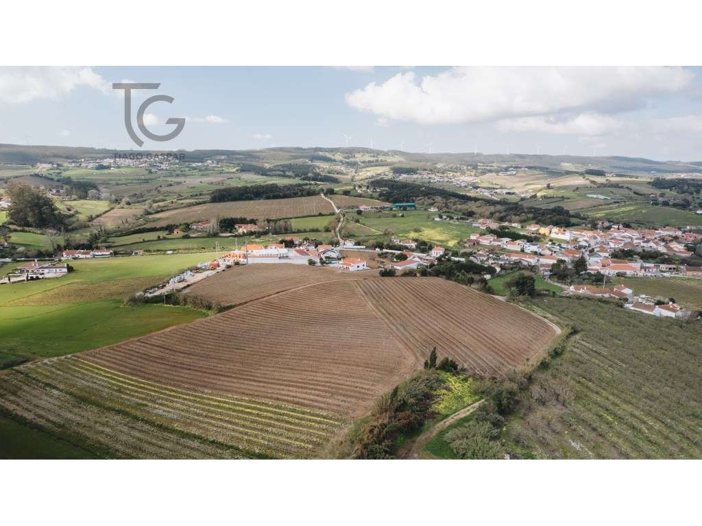 Moradia T3 com Terreno 10.000m² e Vinha em Produção | Arneiro - Tor...-30