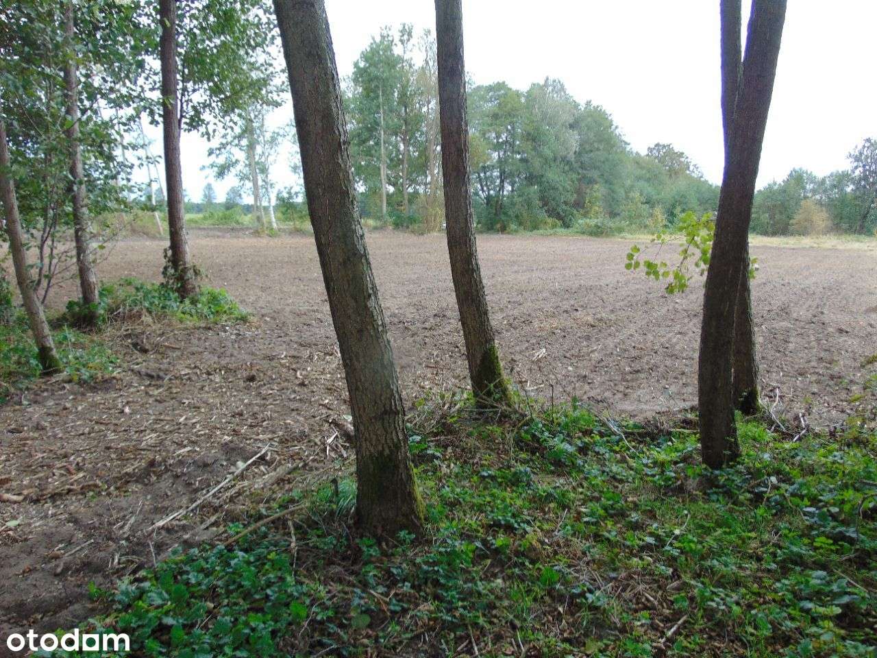 Działka bud.usł. Zielona Góra 1000/1210 m2 197, 50-3